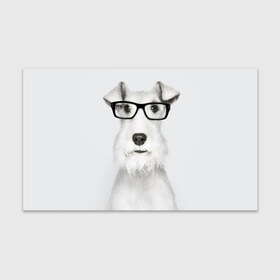 Бумага для упаковки 3D с принтом Собака в очках в Белгороде, пластик и полированная сталь | круглая форма, металлическое крепление в виде кольца | белый | домашнее | животное | очки | пес | прикол | собака в очках | умный | ученый | эрдельтерьер