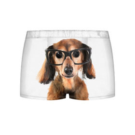 Мужские трусы 3D с принтом Собака в очках в Белгороде, 50% хлопок, 50% полиэстер | классическая посадка, на поясе мягкая тканевая резинка | домашнее | животное | очки | пес | прикол | собака в очках | умный | ученый