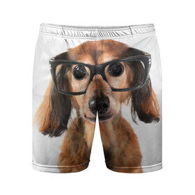 Мужские шорты 3D спортивные с принтом Собака в очках в Белгороде,  |  | домашнее | животное | очки | пес | прикол | собака в очках | умный | ученый