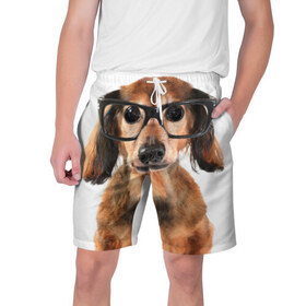 Мужские шорты 3D с принтом Собака в очках в Белгороде,  полиэстер 100% | прямой крой, два кармана без застежек по бокам. Мягкая трикотажная резинка на поясе, внутри которой широкие завязки. Длина чуть выше колен | Тематика изображения на принте: домашнее | животное | очки | пес | прикол | собака в очках | умный | ученый