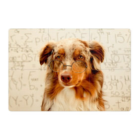 Магнитный плакат 3Х2 с принтом Собака в очках в Белгороде, Полимерный материал с магнитным слоем | 6 деталей размером 9*9 см | домашнее | животное | очки | пес | прикол | собака в очках | умный | ученый