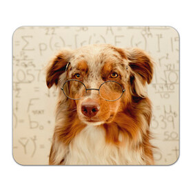 Коврик прямоугольный с принтом Собака в очках в Белгороде, натуральный каучук | размер 230 х 185 мм; запечатка лицевой стороны | Тематика изображения на принте: домашнее | животное | очки | пес | прикол | собака в очках | умный | ученый