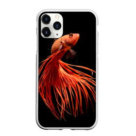 Чехол для iPhone 11 Pro матовый с принтом Бойцовая рыбка в Белгороде, Силикон |  | аквариумная | бойцовая | красивый | плавники | рыба | рыбка | хвост | япаонская