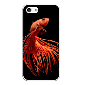 Чехол для iPhone 5/5S матовый с принтом Бойцовая рыбка в Белгороде, Силикон | Область печати: задняя сторона чехла, без боковых панелей | аквариумная | бойцовая | красивый | плавники | рыба | рыбка | хвост | япаонская