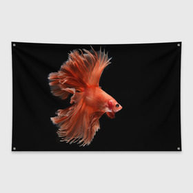 Флаг-баннер с принтом Бойцовая рыбка в Белгороде, 100% полиэстер | размер 67 х 109 см, плотность ткани — 95 г/м2; по краям флага есть четыре люверса для крепления | аквариумная | бойцовая | красивый | плавники | рыба | рыбка | хвост | япаонская