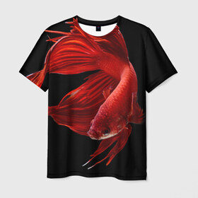 Мужская футболка 3D с принтом Бойцовая рыбка в Белгороде, 100% полиэфир | прямой крой, круглый вырез горловины, длина до линии бедер | 