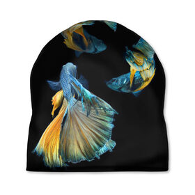 Шапка 3D с принтом Бойцовая рыбка в Белгороде, 100% полиэстер | универсальный размер, печать по всей поверхности изделия | аквариумная | бойцовая | красивый | плавники | рыба | рыбка | хвост | япаонская
