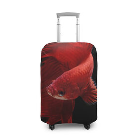 Чехол для чемодана 3D с принтом Бойцовая рыбка в Белгороде, 86% полиэфир, 14% спандекс | двустороннее нанесение принта, прорези для ручек и колес | аквариумная | бойцовая | красивый | плавники | рыба | рыбка | хвост | япаонская