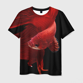 Мужская футболка 3D с принтом Бойцовая рыбка в Белгороде, 100% полиэфир | прямой крой, круглый вырез горловины, длина до линии бедер | аквариумная | бойцовая | красивый | плавники | рыба | рыбка | хвост | япаонская