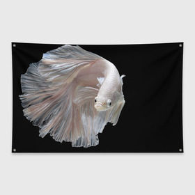 Флаг-баннер с принтом Бойцовая рыбка в Белгороде, 100% полиэстер | размер 67 х 109 см, плотность ткани — 95 г/м2; по краям флага есть четыре люверса для крепления | аквариумная | бойцовая | красивый | плавники | рыба | рыбка | хвост | япаонская