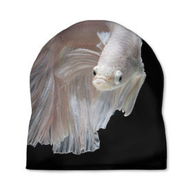 Шапка 3D с принтом Бойцовая рыбка в Белгороде, 100% полиэстер | универсальный размер, печать по всей поверхности изделия | аквариумная | бойцовая | красивый | плавники | рыба | рыбка | хвост | япаонская