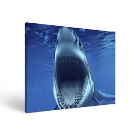 Холст прямоугольный с принтом Белая акула в Белгороде, 100% ПВХ |  | shark | море | синий