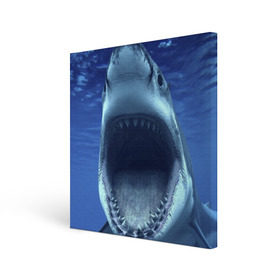 Холст квадратный с принтом Белая акула в Белгороде, 100% ПВХ |  | shark | море | синий