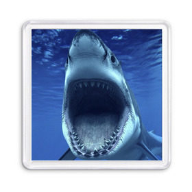 Магнит 55*55 с принтом Белая акула в Белгороде, Пластик | Размер: 65*65 мм; Размер печати: 55*55 мм | shark | море | синий
