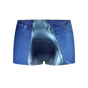 Мужские трусы 3D с принтом Белая акула в Белгороде, 50% хлопок, 50% полиэстер | классическая посадка, на поясе мягкая тканевая резинка | Тематика изображения на принте: shark | море | синий