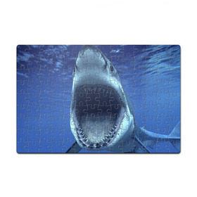 Пазл магнитный 126 элементов с принтом Белая акула в Белгороде, полимерный материал с магнитным слоем | 126 деталей, размер изделия —  180*270 мм | shark | море | синий