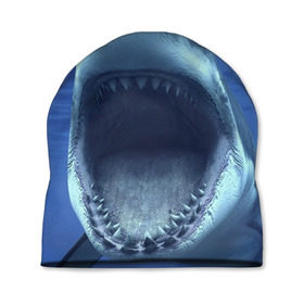 Шапка 3D с принтом Белая акула в Белгороде, 100% полиэстер | универсальный размер, печать по всей поверхности изделия | shark | море | синий