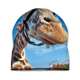 Шапка 3D с принтом Прикольный жираф в Белгороде, 100% полиэстер | универсальный размер, печать по всей поверхности изделия | африка | животное | жираф | небо | природа