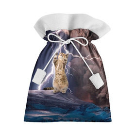 Подарочный 3D мешок с принтом Кот и молния в Белгороде, 100% полиэстер | Размер: 29*39 см | Тематика изображения на принте: буря | гроза | кот | котенок | молния | облака