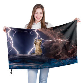 Флаг 3D с принтом Кот и молния в Белгороде, 100% полиэстер | плотность ткани — 95 г/м2, размер — 67 х 109 см. Принт наносится с одной стороны | буря | гроза | кот | котенок | молния | облака