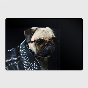 Магнитный плакат 3Х2 с принтом Бульдог в очках в Белгороде, Полимерный материал с магнитным слоем | 6 деталей размером 9*9 см | бульдог в очках | домашнее | животное | клепки | кожа | металлист | очки | пес | прикол | рокер | собака | умный | ученый | французский