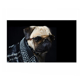 Бумага для упаковки 3D с принтом Бульдог в очках в Белгороде, пластик и полированная сталь | круглая форма, металлическое крепление в виде кольца | Тематика изображения на принте: бульдог в очках | домашнее | животное | клепки | кожа | металлист | очки | пес | прикол | рокер | собака | умный | ученый | французский
