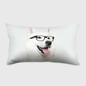 Подушка 3D антистресс с принтом Собака в очках в Белгороде, наволочка — 100% полиэстер, наполнитель — вспененный полистирол | состоит из подушки и наволочки на молнии | домашнее | животное | очки | пес | прикол | собака в очках | умный | ученый