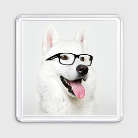 Магнит 55*55 с принтом Собака в очках в Белгороде, Пластик | Размер: 65*65 мм; Размер печати: 55*55 мм | домашнее | животное | очки | пес | прикол | собака в очках | умный | ученый
