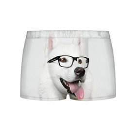 Мужские трусы 3D с принтом Собака в очках в Белгороде, 50% хлопок, 50% полиэстер | классическая посадка, на поясе мягкая тканевая резинка | Тематика изображения на принте: домашнее | животное | очки | пес | прикол | собака в очках | умный | ученый