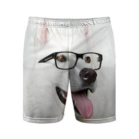 Мужские шорты 3D спортивные с принтом Собака в очках в Белгороде,  |  | домашнее | животное | очки | пес | прикол | собака в очках | умный | ученый