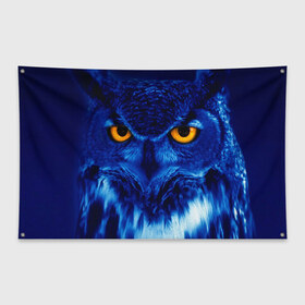 Флаг-баннер ПаукСова: в Белгороде, 100% полиэстер | размер 67 х 109 см, плотность ткани — 95 г/м2; по краям флага есть четыре люверса для крепления | взгляд | гипноз | гипнотический | глаза | мистическая | ночная | ночь | птица | сова | фон | хищник | черный