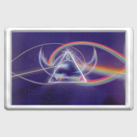 Магнит 45*70 с принтом Pink Floyd в Белгороде, Пластик | Размер: 78*52 мм; Размер печати: 70*45 | Тематика изображения на принте: pink floyd