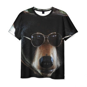 Мужская футболка 3D с принтом Медведь в очках в Белгороде, 100% полиэфир | прямой крой, круглый вырез горловины, длина до линии бедер | животное | медведь | новая | очки | природа | стильная