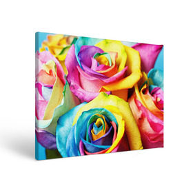 Холст прямоугольный с принтом Радужная роза в Белгороде, 100% ПВХ |  | Тематика изображения на принте: бутон | лепестки | радуга | радужная роза | спектр | цвет | цветные | яркий
