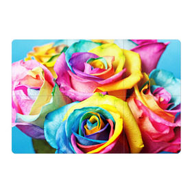 Магнитный плакат 3Х2 с принтом Радужная роза в Белгороде, Полимерный материал с магнитным слоем | 6 деталей размером 9*9 см | Тематика изображения на принте: бутон | лепестки | радуга | радужная роза | спектр | цвет | цветные | яркий