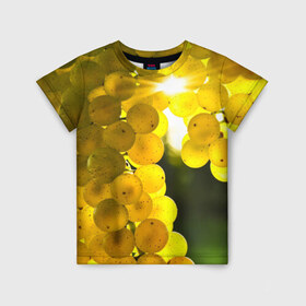 Детская футболка 3D с принтом Виноград в Белгороде, 100% гипоаллергенный полиэфир | прямой крой, круглый вырез горловины, длина до линии бедер, чуть спущенное плечо, ткань немного тянется | виноград | виноградник | лоза | лучи | солнце | ягоды