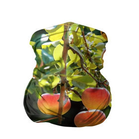 Бандана-труба 3D с принтом Яблоки в Белгороде, 100% полиэстер, ткань с особыми свойствами — Activecool | плотность 150‒180 г/м2; хорошо тянется, но сохраняет форму | дерево | зелень | красные | сад