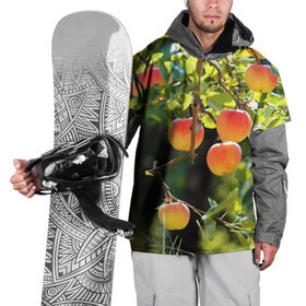 Накидка на куртку 3D с принтом Яблоки в Белгороде, 100% полиэстер |  | дерево | зелень | красные | сад