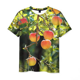Мужская футболка 3D с принтом Яблоки в Белгороде, 100% полиэфир | прямой крой, круглый вырез горловины, длина до линии бедер | дерево | зелень | красные | сад