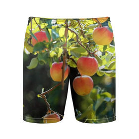Мужские шорты 3D спортивные с принтом Яблоки в Белгороде,  |  | дерево | зелень | красные | сад
