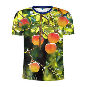 Мужская футболка 3D спортивная с принтом Яблоки в Белгороде, 100% полиэстер с улучшенными характеристиками | приталенный силуэт, круглая горловина, широкие плечи, сужается к линии бедра | дерево | зелень | красные | сад