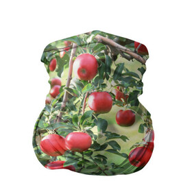 Бандана-труба 3D с принтом Яблоки в Белгороде, 100% полиэстер, ткань с особыми свойствами — Activecool | плотность 150‒180 г/м2; хорошо тянется, но сохраняет форму | дерево | зелень | красные | сад | яблоки