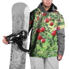 Накидка на куртку 3D с принтом Яблоки в Белгороде, 100% полиэстер |  | дерево | зелень | красные | сад | яблоки