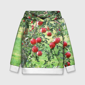 Детская толстовка 3D с принтом Яблоки в Белгороде, 100% полиэстер | двухслойный капюшон со шнурком для регулировки, мягкие манжеты на рукавах и по низу толстовки, спереди карман-кенгуру с мягким внутренним слоем | дерево | зелень | красные | сад | яблоки
