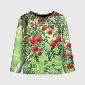 Детский лонгслив 3D с принтом Яблоки в Белгороде, 100% полиэстер | длинные рукава, круглый вырез горловины, полуприлегающий силуэт
 | дерево | зелень | красные | сад | яблоки