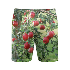Мужские шорты 3D спортивные с принтом Яблоки в Белгороде,  |  | дерево | зелень | красные | сад | яблоки