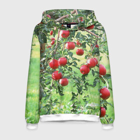 Мужская толстовка 3D с принтом Яблоки в Белгороде, 100% полиэстер | двухслойный капюшон со шнурком для регулировки, мягкие манжеты на рукавах и по низу толстовки, спереди карман-кенгуру с мягким внутренним слоем. | Тематика изображения на принте: дерево | зелень | красные | сад | яблоки