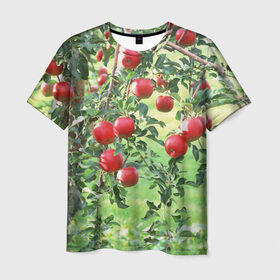 Мужская футболка 3D с принтом Яблоки в Белгороде, 100% полиэфир | прямой крой, круглый вырез горловины, длина до линии бедер | дерево | зелень | красные | сад | яблоки