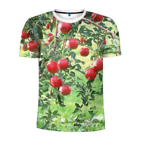Мужская футболка 3D спортивная с принтом Яблоки в Белгороде, 100% полиэстер с улучшенными характеристиками | приталенный силуэт, круглая горловина, широкие плечи, сужается к линии бедра | дерево | зелень | красные | сад | яблоки