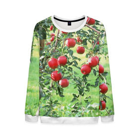 Мужской свитшот 3D с принтом Яблоки в Белгороде, 100% полиэстер с мягким внутренним слоем | круглый вырез горловины, мягкая резинка на манжетах и поясе, свободная посадка по фигуре | дерево | зелень | красные | сад | яблоки
